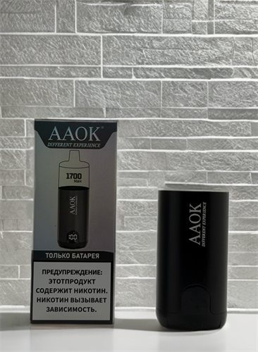 AAOK Different Expensive 1700 mAh 5808