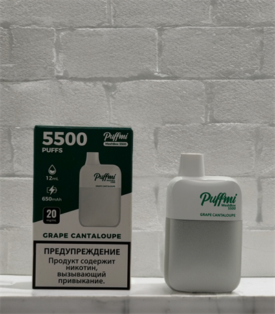 Puffmi MeshBox 5500 - 5500 затяжек 3427