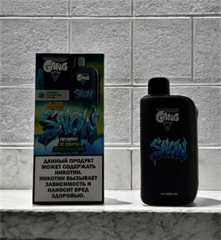 Gang Snow 21000 - 21000 затяжек с 4 режимами регулировки холодка 5344