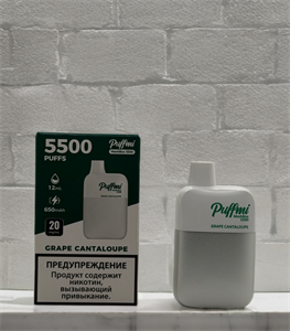 Puffmi MeshBox 5500 - 5500 затяжек 3427